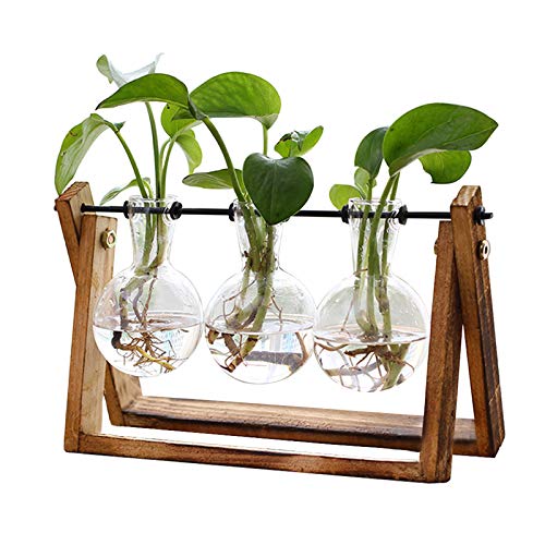 XXXFLOWER Plant Terrarium with Wooden Stand, Air Planter Bulb Glass Vase Metal Swivel Holder Retro Tabletop for Hydroponics Home Garden Office Decoration - 3 Bulb Vase
